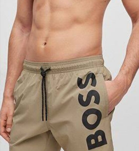 Short anfibian